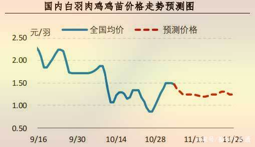 肉毛鸡最新价格行情分析