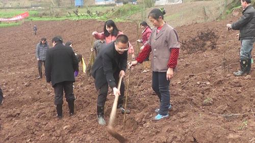 合川香龙镇新任书记，引领发展的时代先锋