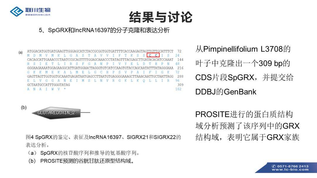 2024新奥正版资料免费共享，FEP119.95先锋版全新解答定义解析