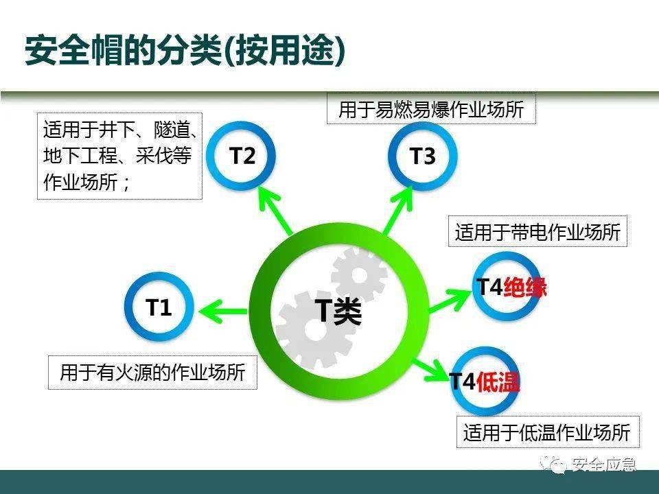 2024年11月16日 第51页