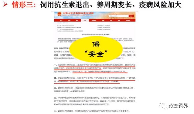 2024香港正版资料直播解析：安全策略揭秘_GKJ333.57科技资讯