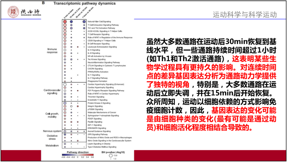 新奥门免费资料汇总，详尽解读与定义一览_NTW395.38持续更新