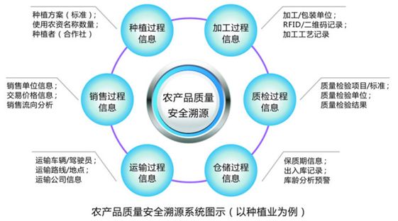 新奥版RMT463.59精准特安全策略解读：个性定制版解析