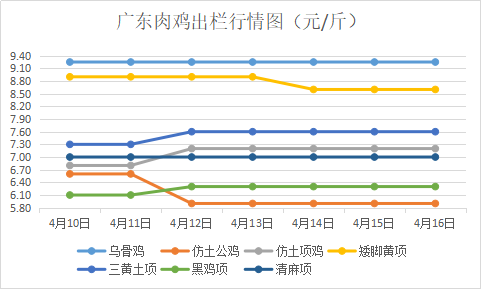 广东省鸡价最新行情解析