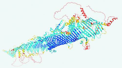 2024年11月19日 第74页