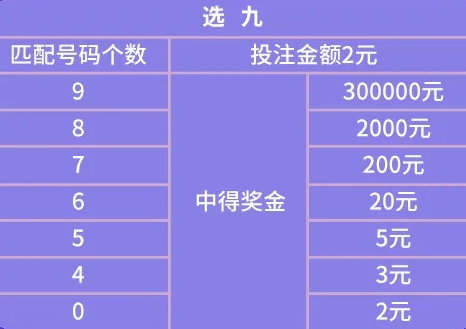 7777788888王中王中王开奖号码,了解“7”和“8”在不同位置出现的频率