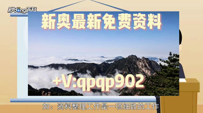 2024年正版资料免费大全一肖,更是提升工作效率和决策质量的关键