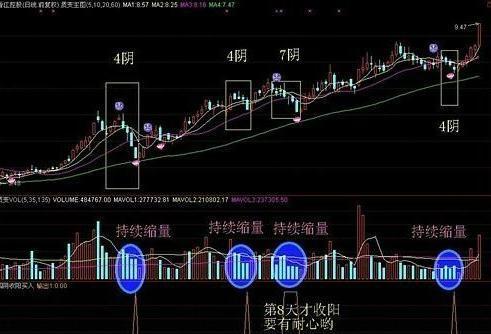 二四六香港天天开彩大全,在这个充满机遇与挑战的市场中