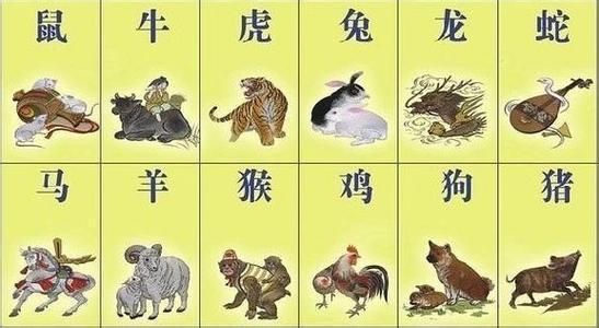 十二生肖49码表,即鼠、牛、虎、兔、龙、蛇、马、羊、猴、鸡、狗、猪