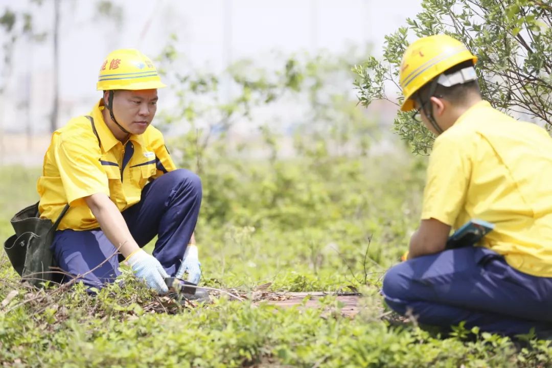 新奥彩资料免费提供,能够为用户提供最新的市场动态和技术趋势