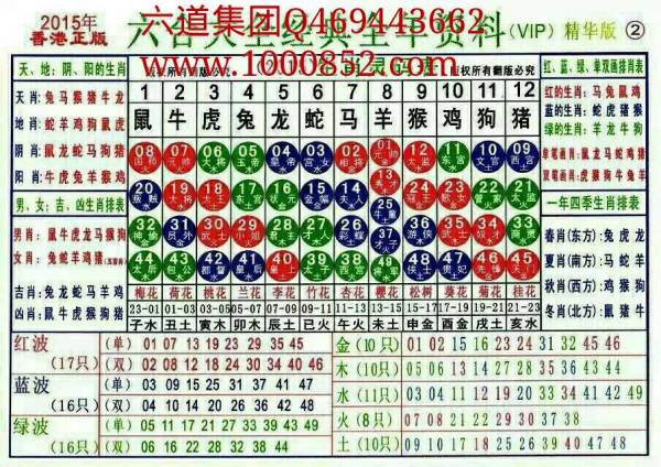 2024十二生肖49码表,更是中华文化中生肖与数字结合的体现