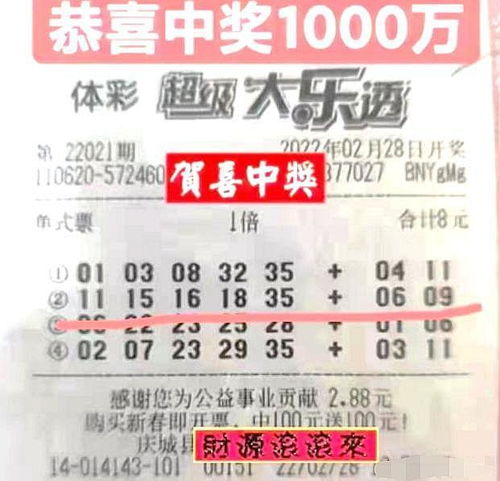 2024今晚新澳门开奖结果,以及这一结果将如何影响澳门的彩票市场