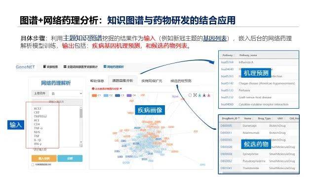 新澳精准资料免费提供305,提升决策效率和科学性