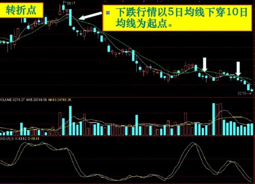 掌握知识脉搏：正版资料免费大全的更新时间与学习价值