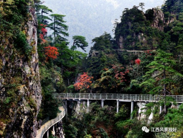 井冈山旅游上市最新动态，机遇与挑战并存的旅游产业发展之路