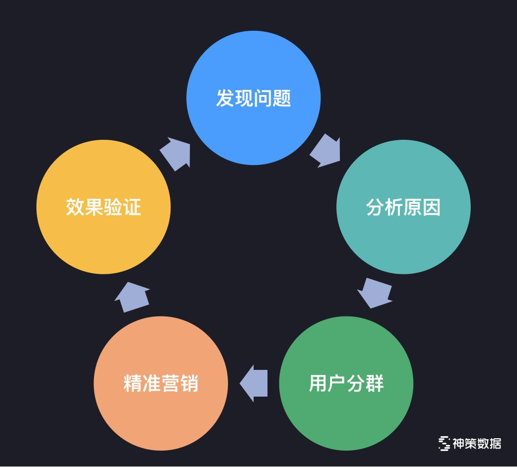 新澳精准资料208期：数据驱动决策的实践与挑战