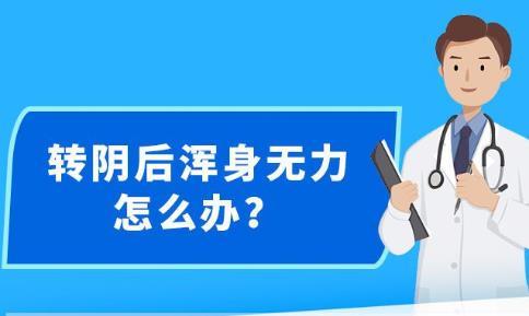 新澳精准资料免费提供2023,免费资料的广泛传播也可能导致知识产权问题