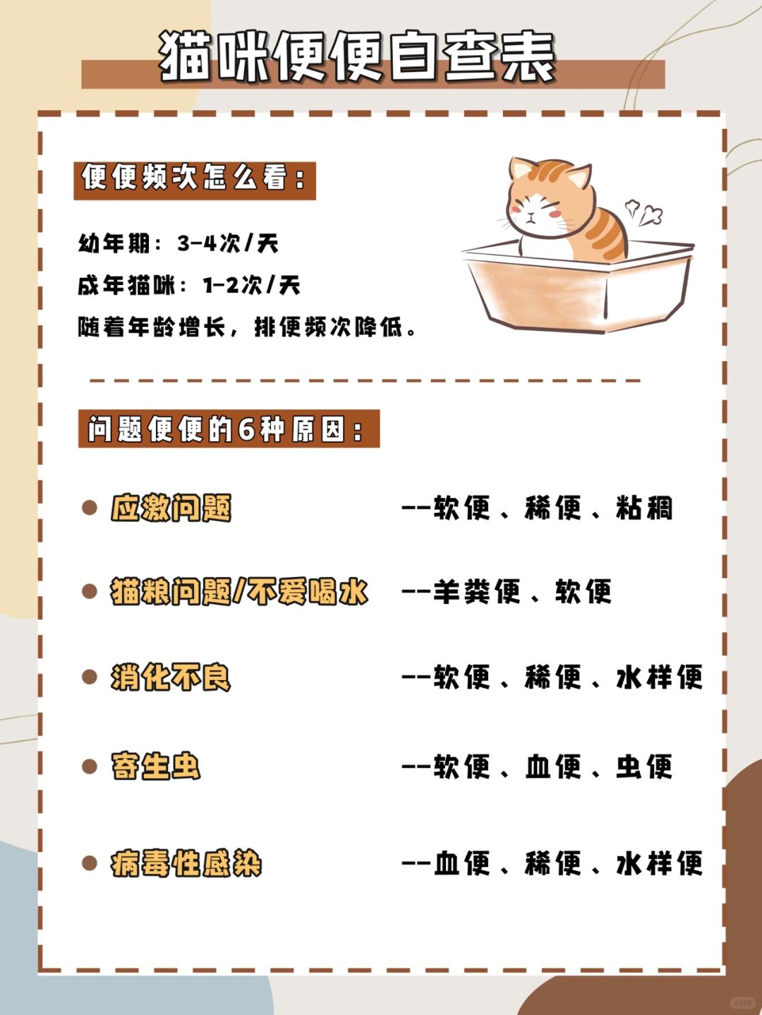 新奥精准免费资料提供,猫咪便秘_王者版5.303