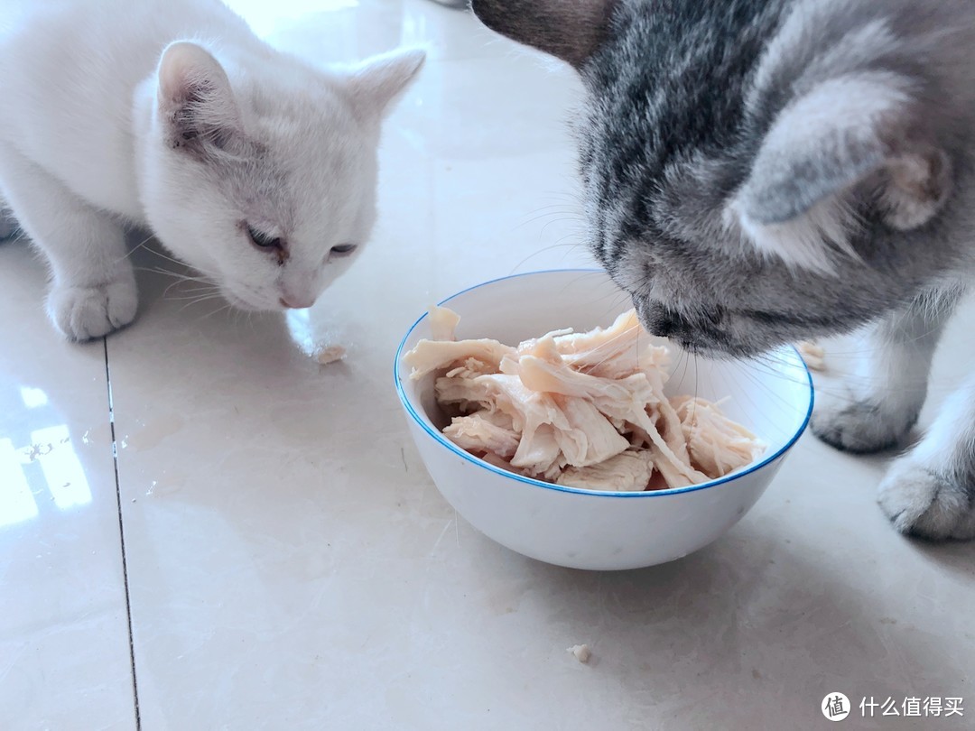 澳门一肖一码100准最准一肖_,猫咪吃的鸡胸肉怎么做_新手版6.296