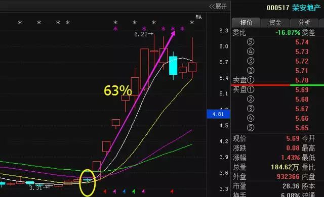 2024年11月26日 第31页