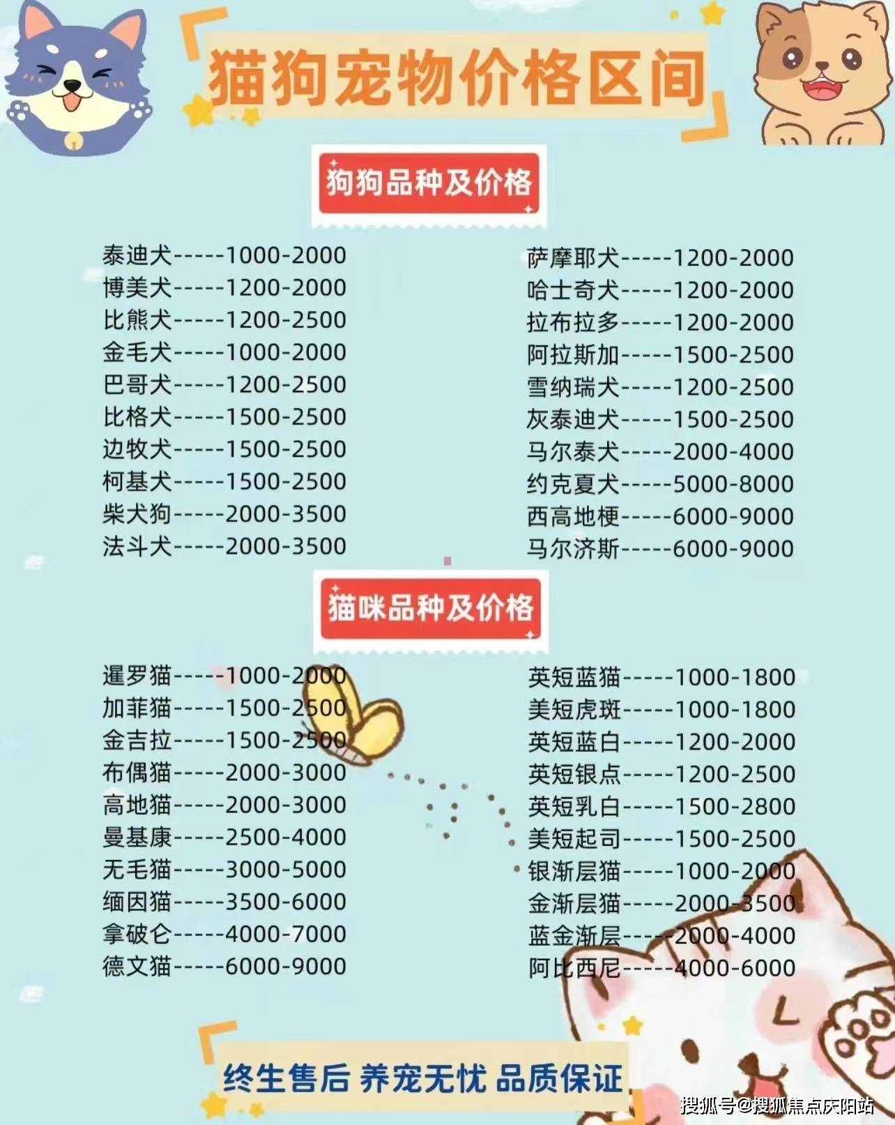 一肖一码100-准资料,普陀区宠物店_领航版9.171