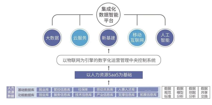 数据分析：现代决策的智慧引擎——2024新澳精准资料免费308期深度解析