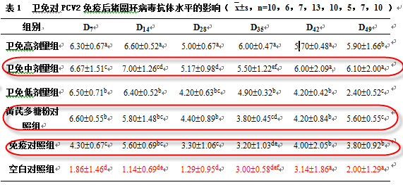 2024澳门买马最准网站,实地验证策略_PalmOS89.89