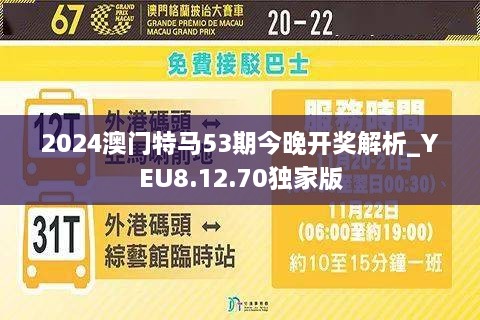 2024今晚澳门开特马开什么,灵活性策略设计_P版65.736