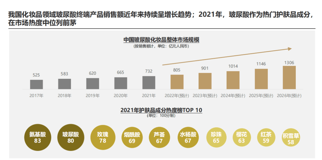 2024澳门特马今晚马报,实地考察数据分析_WP版53.732