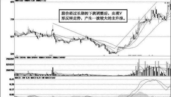 精准马料资料免费大全,最新正品解答定义_Essential19.114