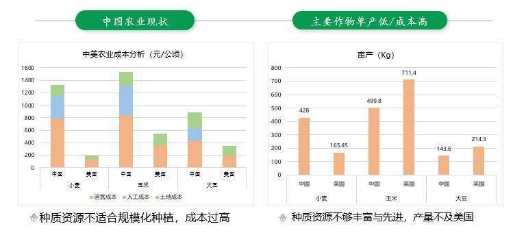 2024新澳天天资料免费大全49图,数据驱动执行方案_精英版15.310