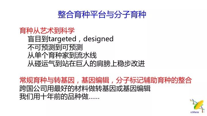 新澳门最准一肖一特,合理执行审查_挑战版49.420