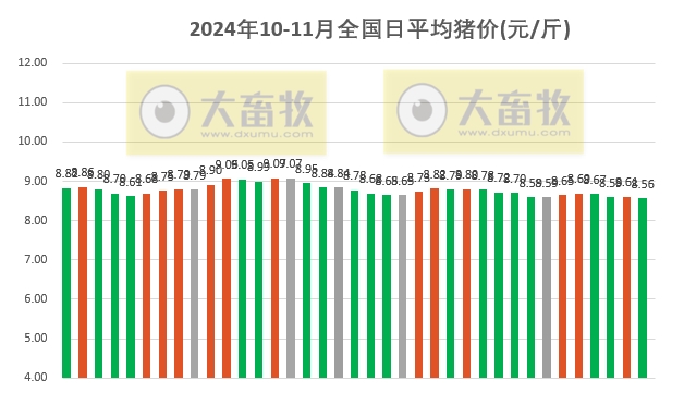 四川今日生猪价格动态分析报告