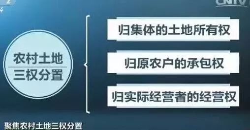 香港三期必开一期免费_,效率资料解释落实_黄金版86.984