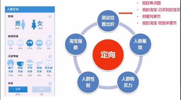 新澳精准资料免费提供,快速解答计划解析_精装版33.466