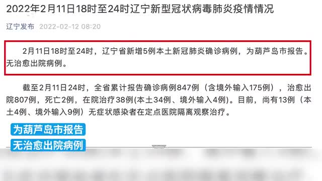 辽宁本土新增病例，疫情挑战及应对策略