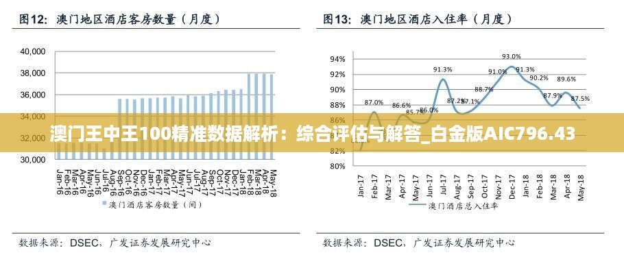 澳门王中王100%正确答案最新章节,数据解析支持方案_投资版37.76