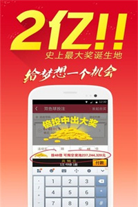 金多宝传真内部绝密资料,精细化执行计划_Pixel60.184