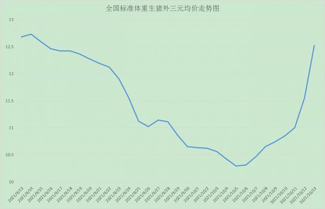 今日猪价行情深度解析