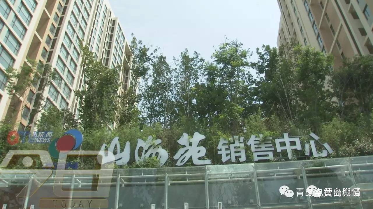 山海苑未来展望，最新动态与期待已久的变化揭秘