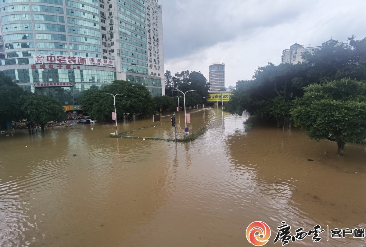 广西暴雨最新动态，灾害应对与影响分析报告